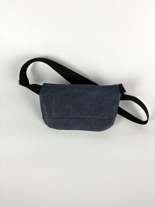 The Franny in Blue and Aluminum